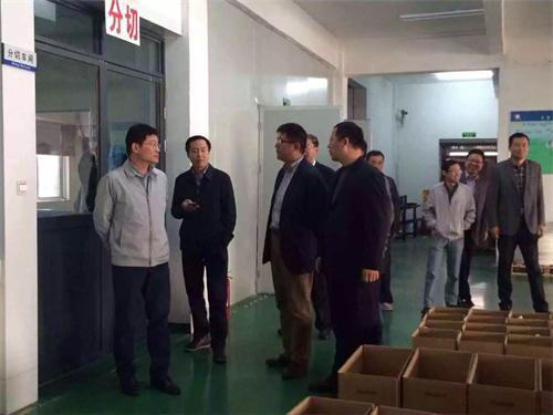 The leader of Tongliong city visited our company 